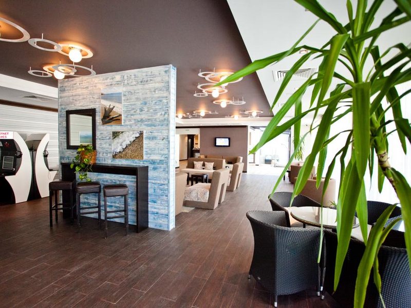 Lion (Sunny Beach)  172112