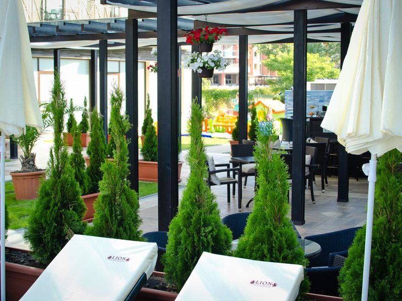 Lion (Sunny Beach)  172116