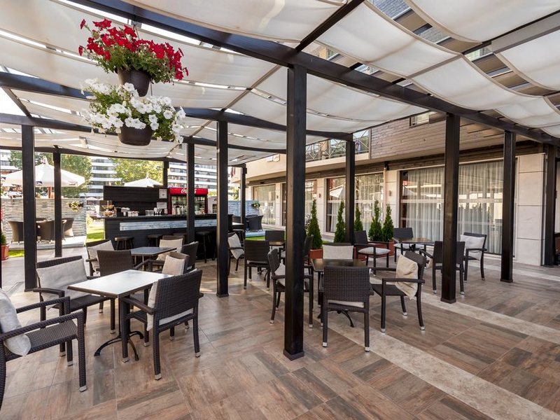 Lion (Sunny Beach)  172124