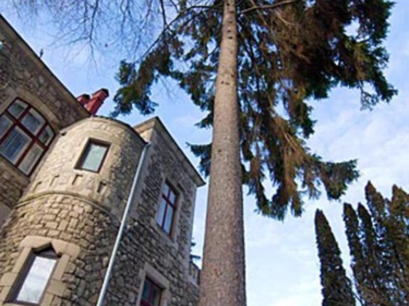 Lion s Castle Hotel 12467