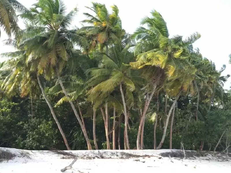 Liyela Retreat Maldives 325106