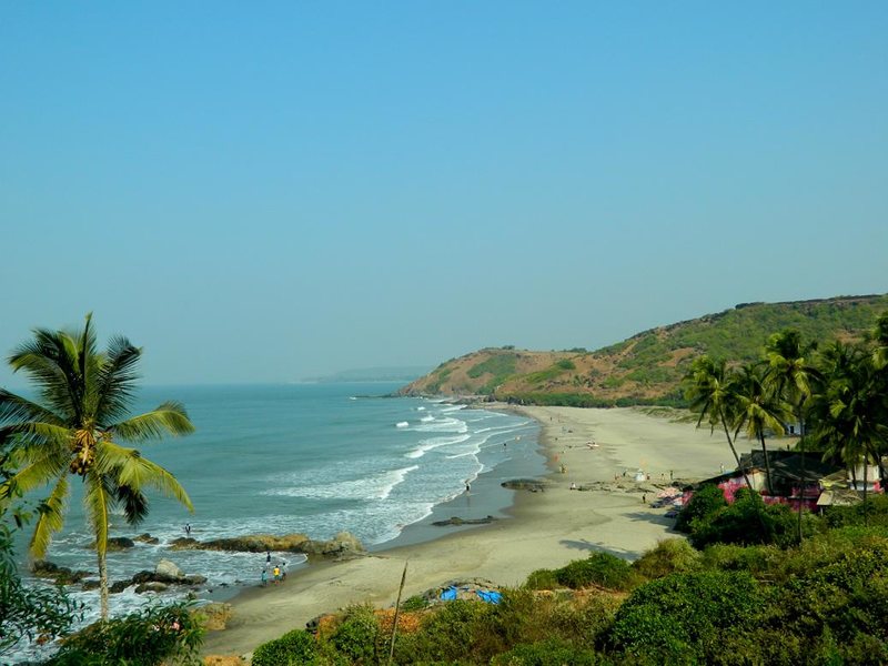 Lobos Inn Guest House  207815