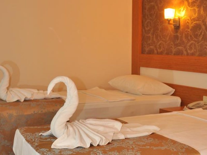 Lonicera City Hotel 65697