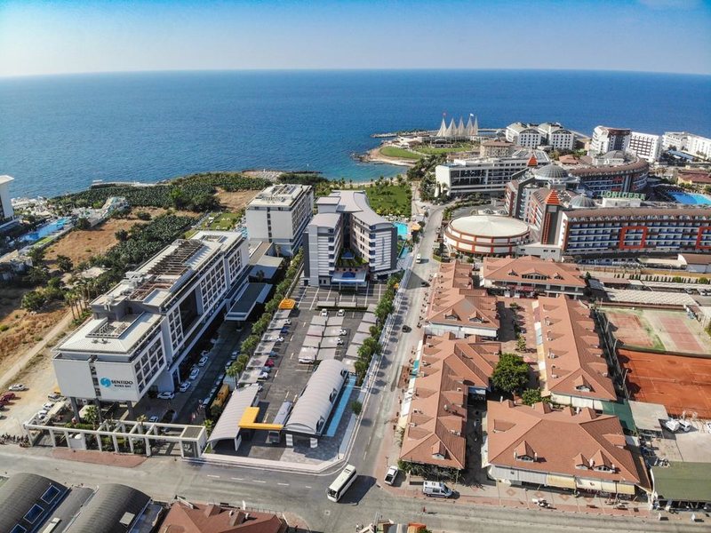 Lonicera Premium  318661