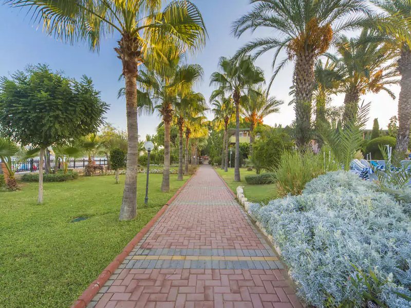 Lonicera Resort & Spa Hotel 177572