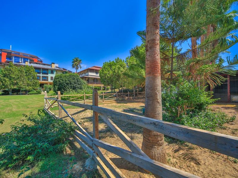 Lonicera Resort & Spa Hotel 177601