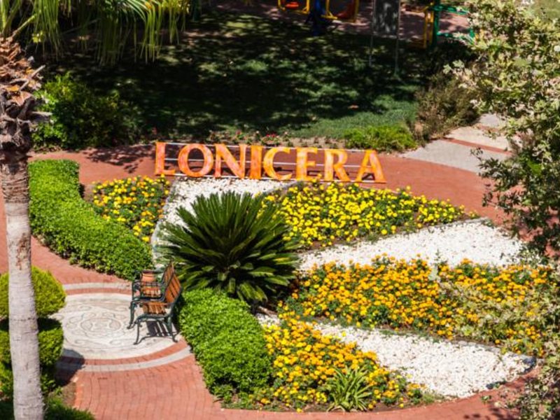 Lonicera World Hotel 94286