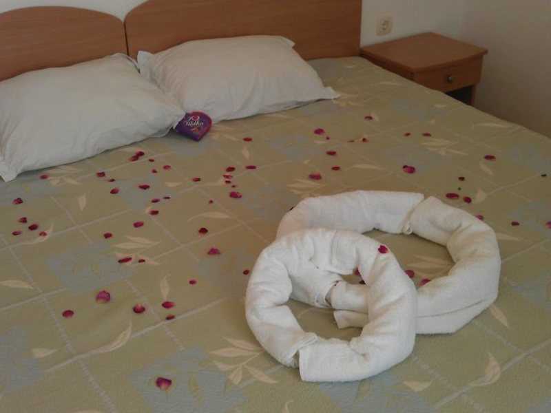 Lozite Family Hotel 166161