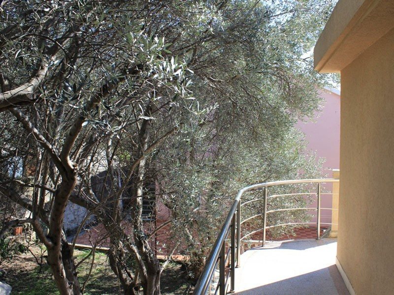 Luka Kaladjurdjevic 74913