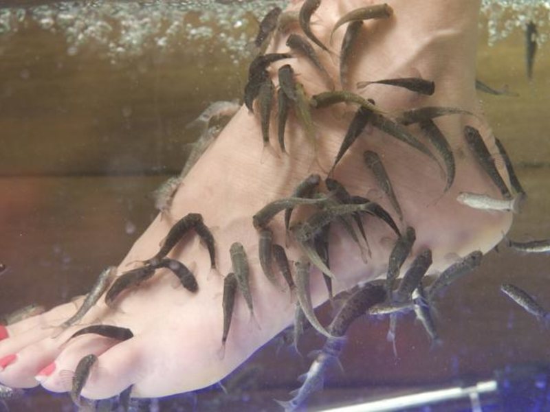 Lycus River Thermal Hotel 94335