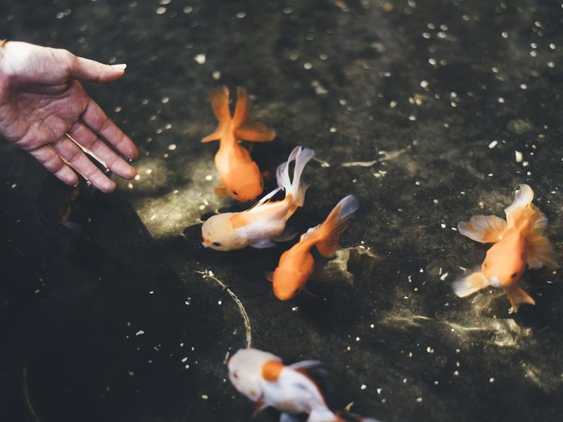 MARINE BEACH HOTEL PATTAYA 267895