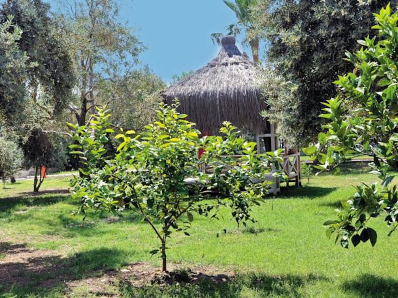 MC Mahberi Beach Hotel 94947