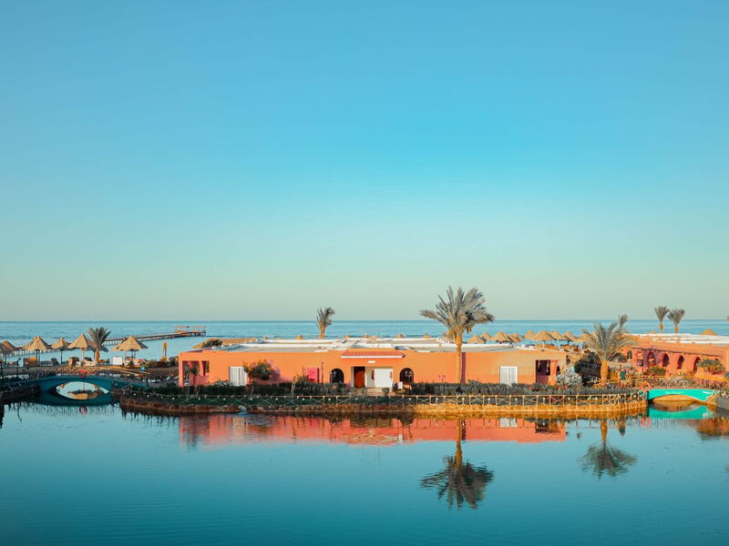 MG Alexander The Great Hotel Marsa Alam 328607