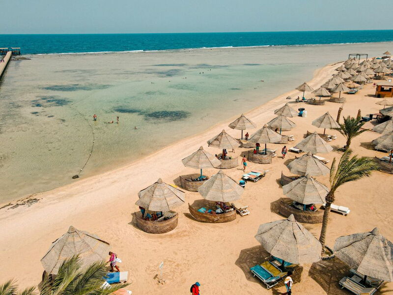 MG Alexander The Great Hotel Marsa Alam 328611