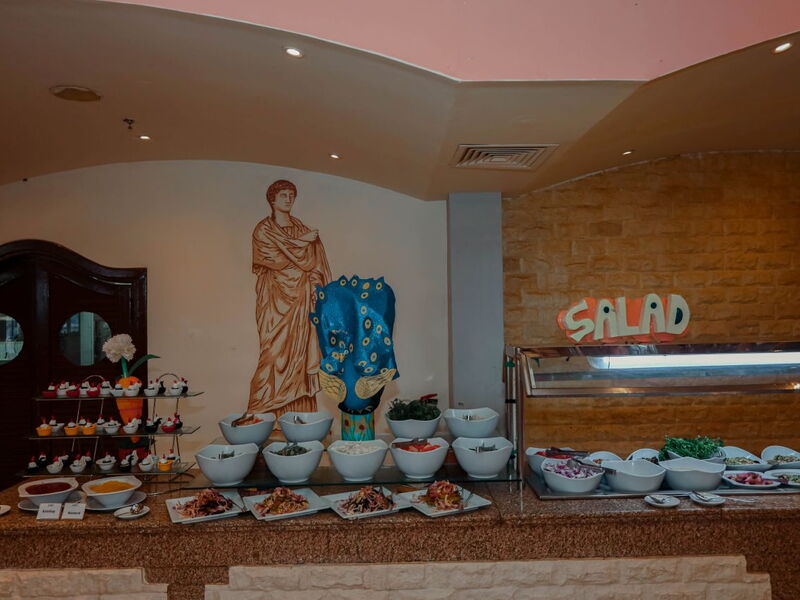 MG Alexander The Great Hotel Marsa Alam 328614