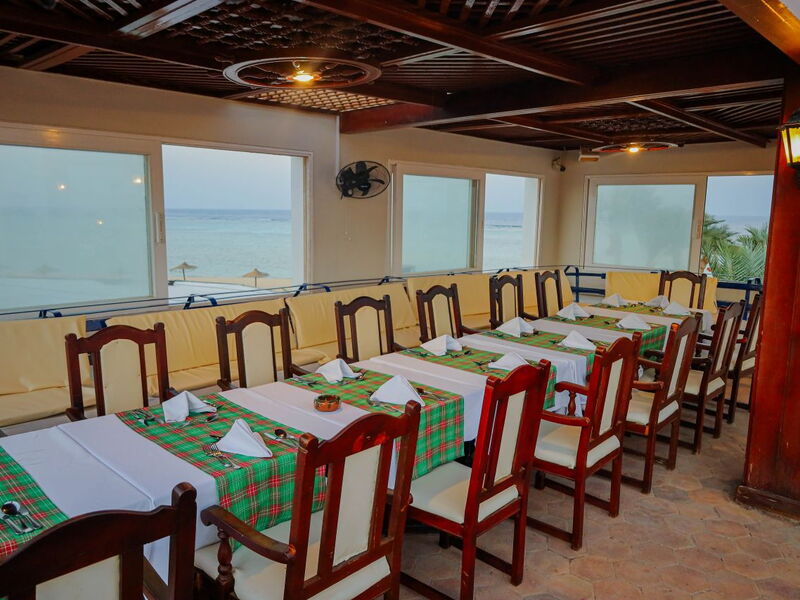 MG Alexander The Great Hotel Marsa Alam 328619