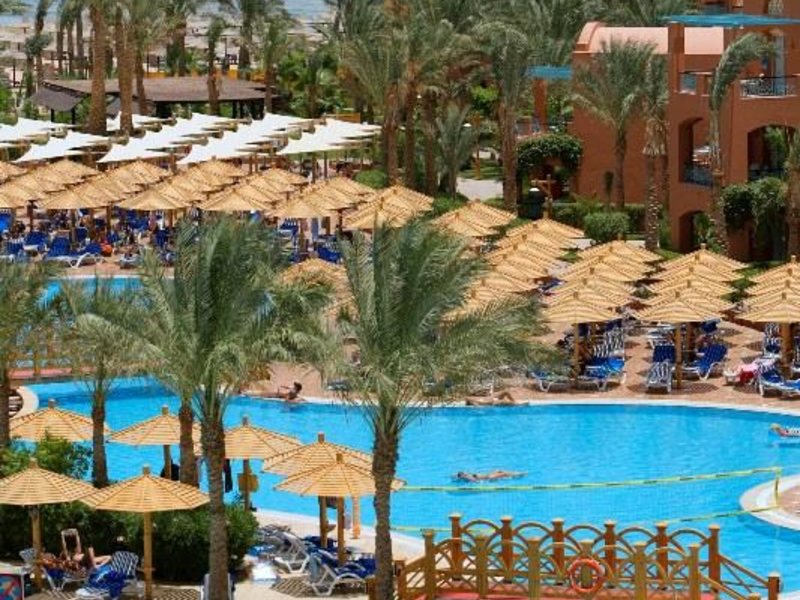 Magic Life Club 36258