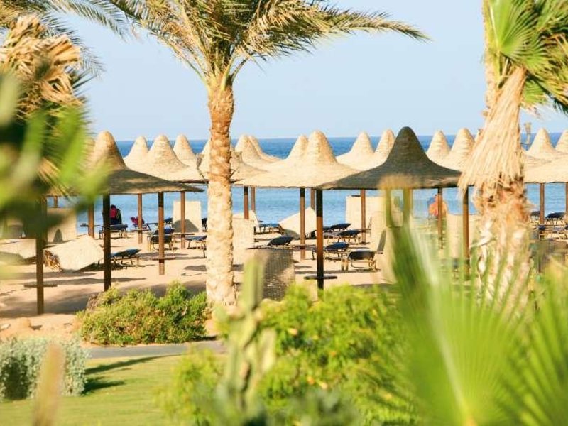 Magic Life Club 36263