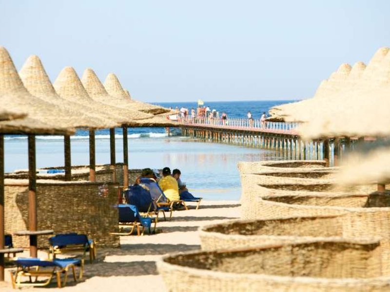 Magic Life Club 36264