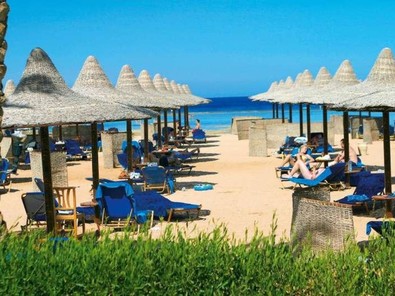 Magic Life Club 36266