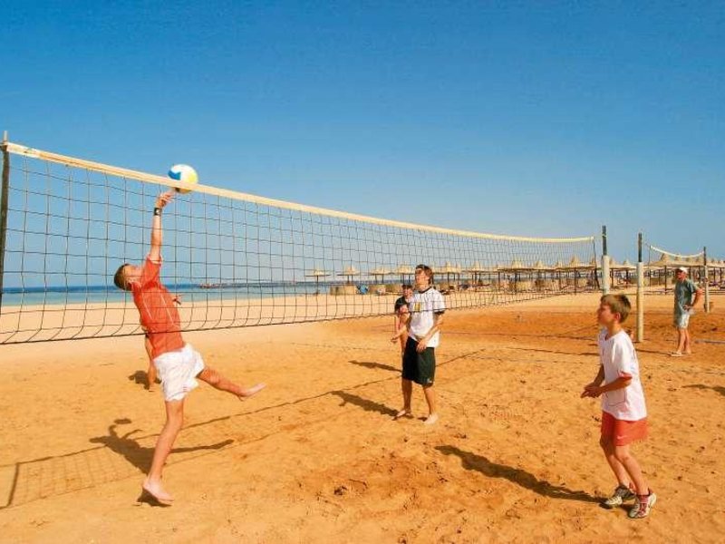 Magic Life Club 36267