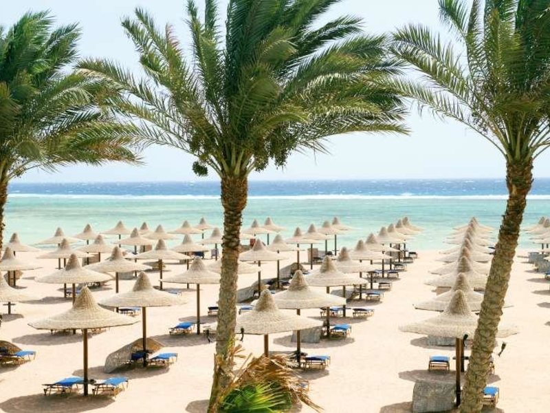 Magic Life Club 36268