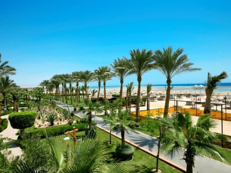 Magic Life Club 36280