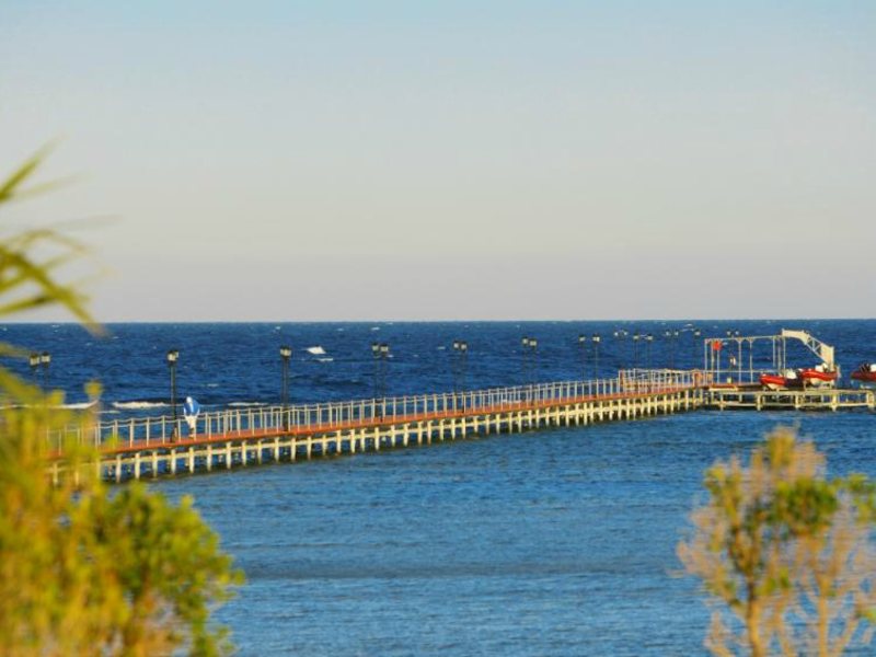 Magic Life Kalawy Imperial 58392