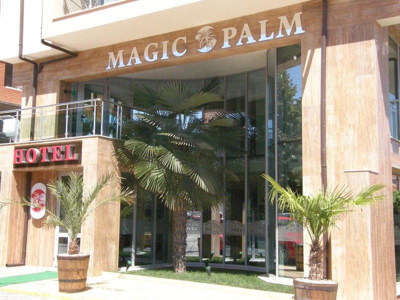 Magic Palm 213004