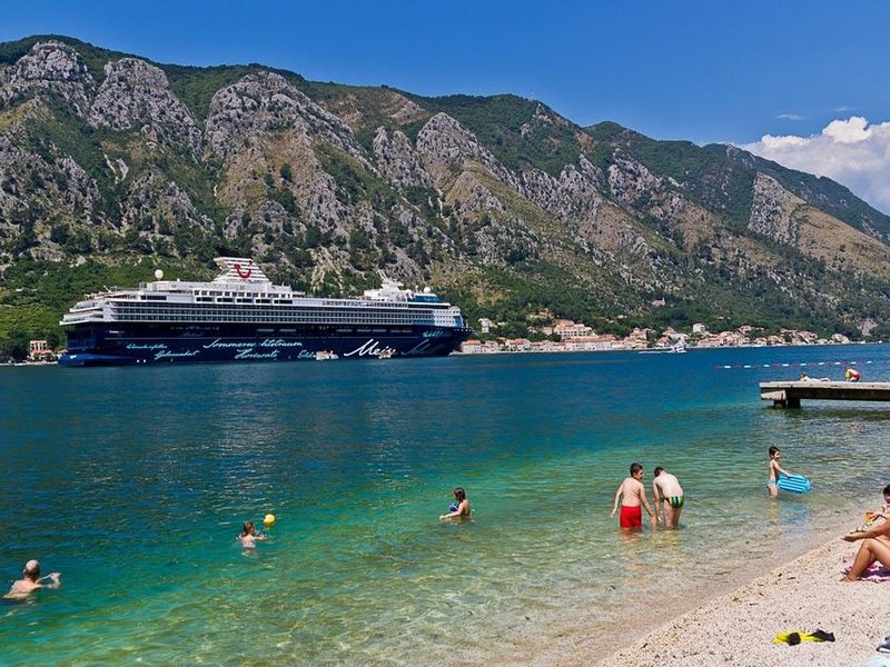 Magnolia Apartments 308274