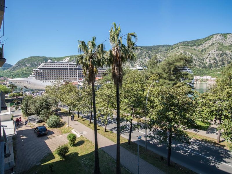 Magnolia Apartments 308285