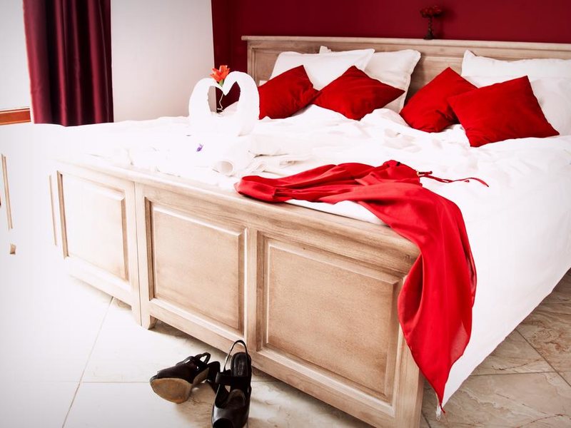 Magnolia Garden 166245