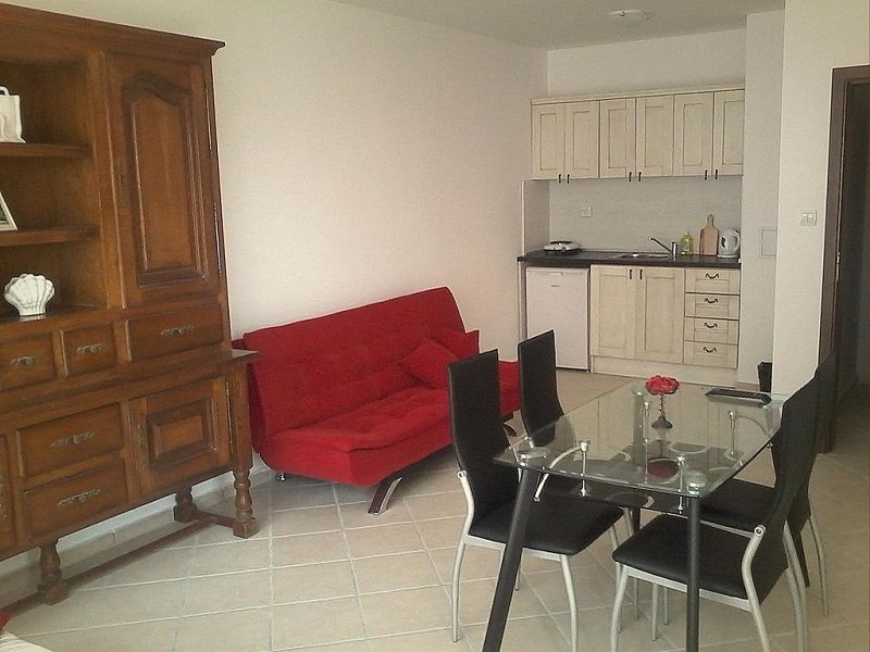 Magnolia Garden 166252