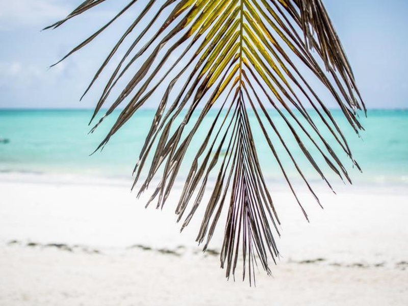 Mahali Zanzibar 322469