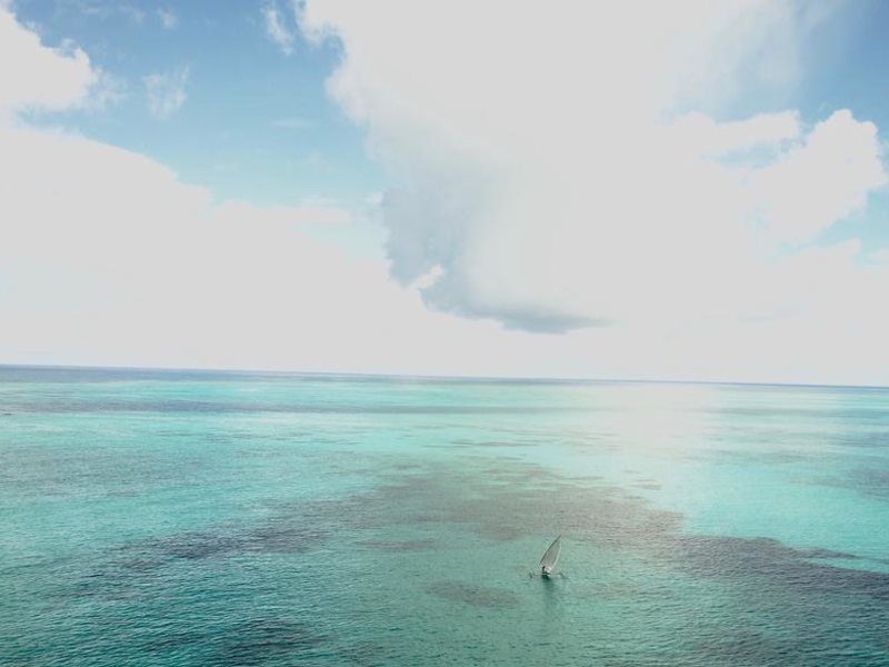 Mahali Zanzibar 322477