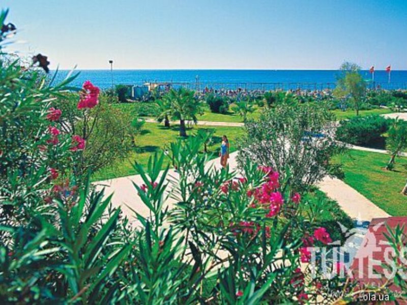 Majesty Sunflower Beach (ЗАКРЫТ) 19470