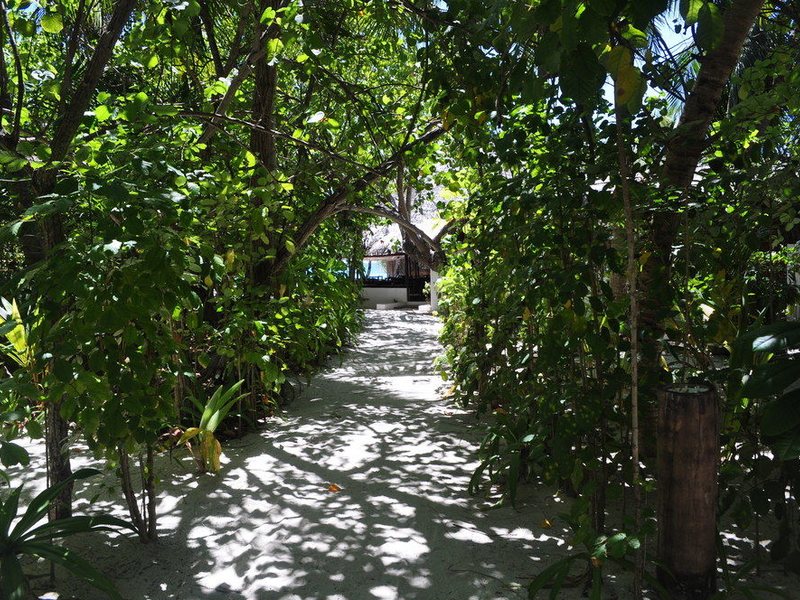 Makunudu Island 135837