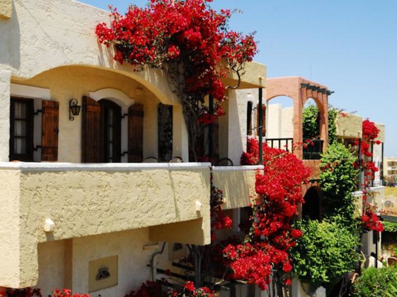 Malia Studios Apts Hotel 96919