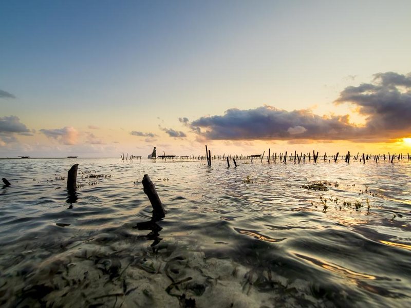 Mamamapambo Boutique Hotel  200601