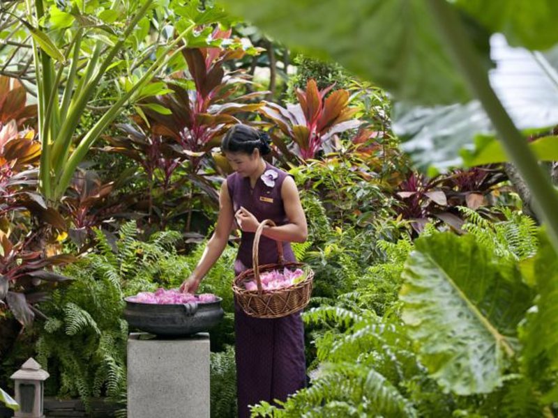 Mandarin Oriental Bangkok 154015