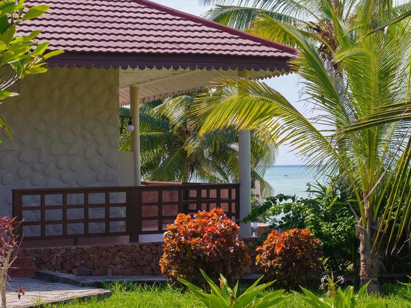 Mandarin Zanzibar (ex 322846