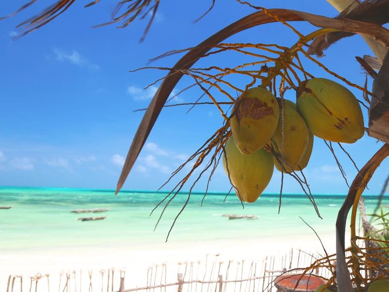 Mango Beach House 322524