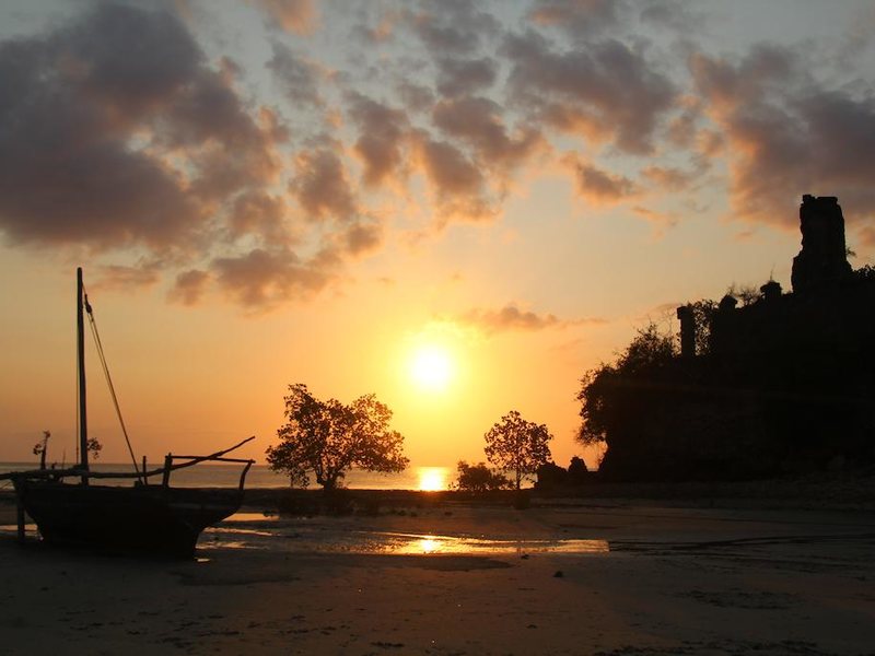 Mangrove Lodge 200632