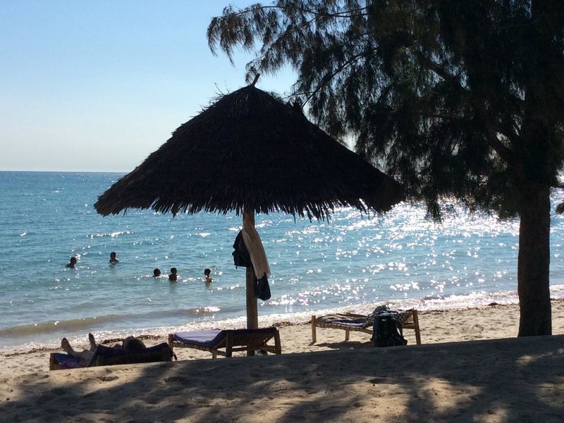 Mangrove Lodge 200643