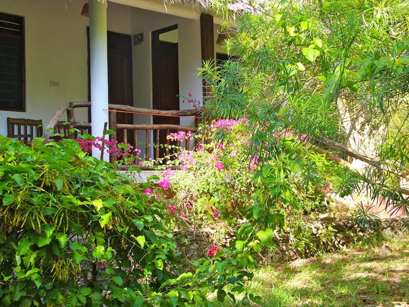 Mangrove Lodge 200644