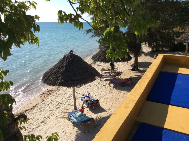 Mangrove Lodge 200645