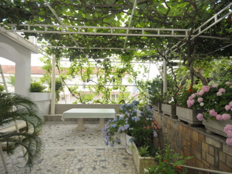 Mara Apartments 307290