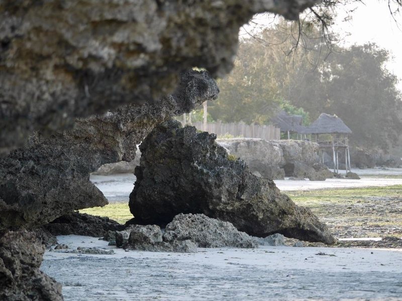 Marafiki Bungalows 240092