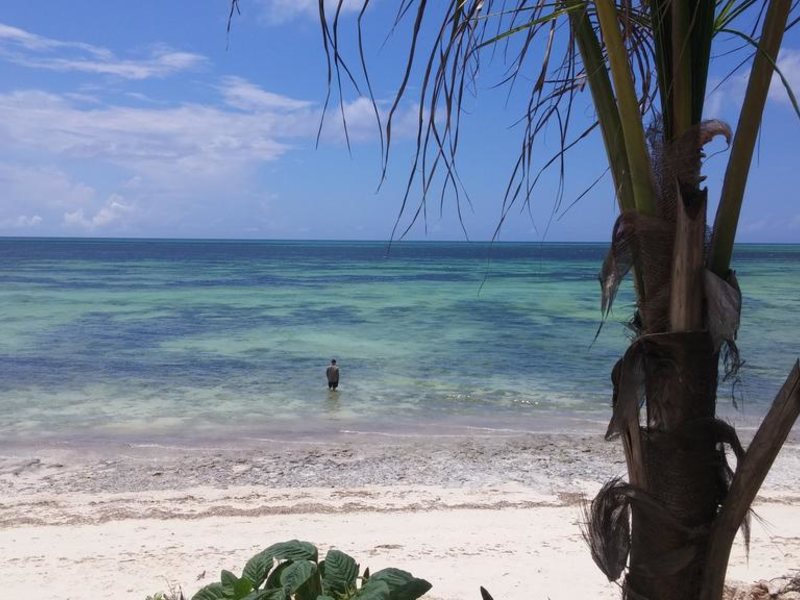 Marafiki Bungalows Zanzibar 229112