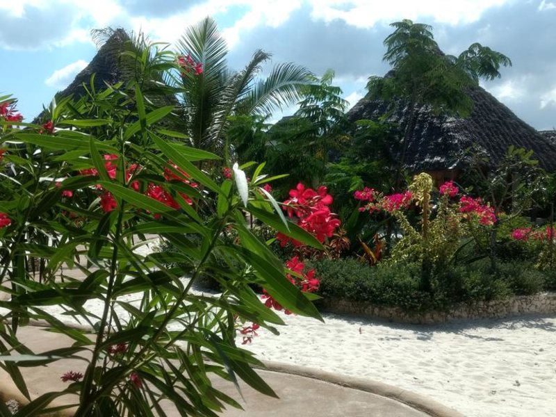 Marafiki Bungalows Zanzibar 229124